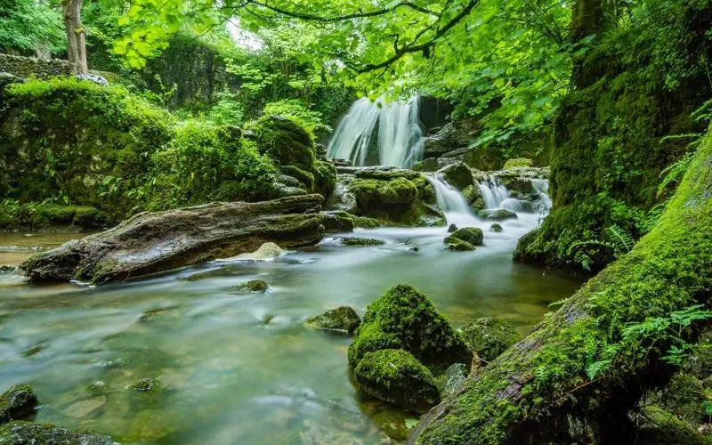 节能高端绿色